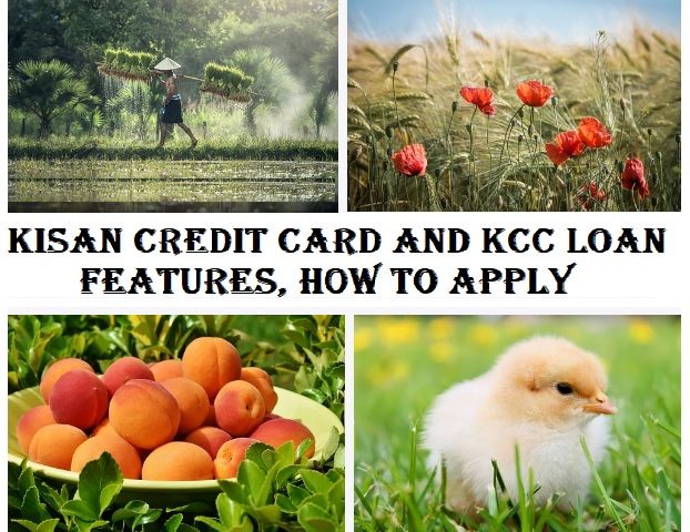 kisan credit card and KCC Loan